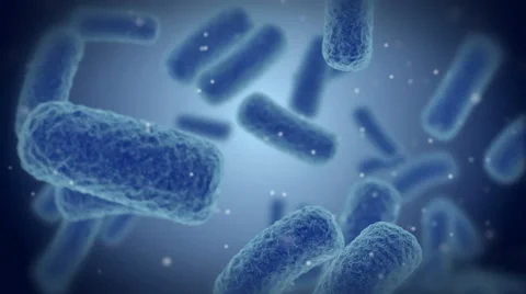 Bacteries X-Ray Stock Footage 46670061