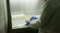 bacteriological examination HD Footage