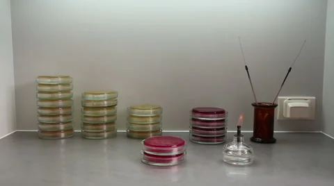 Bacteriological laboratory workplace overview Stock Footage 58735689