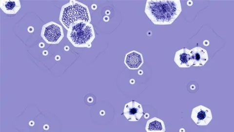 Bacteriological research. Blue and white cells on a blue background. Stock Footage 145206151