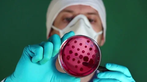 Bacteriologist examines antibiotic resistance test  in laboratory Stock Footage 73550115