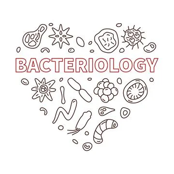 Bacteriology Heart vector Science concept outline banner Stock Illustration