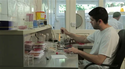 Bacteriology medic technician analyzing microbiological specimens in the lab. Stock-Footage 50225044