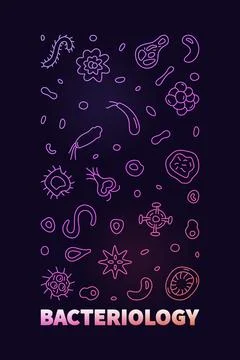 Bacteriology vector Microbiology Science concept linear colored vertical bann Stock Illustration