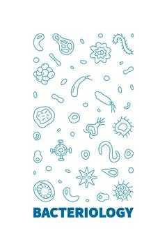 Bacteriology vector Microbiology Science concept outline blue vertical banner Stock Illustration