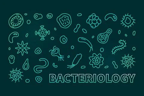 Bacteriology vector Microbiology Science concept linear colorful horizontal.. Stock Illustration