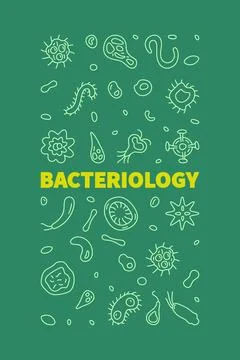 Bacteriology vector Science concept vertical line banner or illustration Stock Illustration