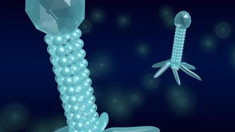 Bacteriophage 3d Stockillustratie