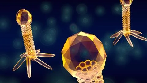 Bacteriophage 3d Stock Illustration