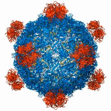 Bacteriophage alpha 3 capsid Stock Illustration