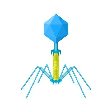 Bacteriophage - bacterial dna virus Stock Illustration