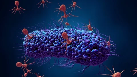 Bacteriophage infecting bacterium in motion Stock Footage