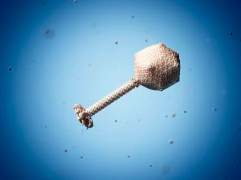 Bacteriophage phiKZ particle, artwork Stock Illustration