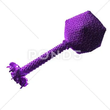 Bacteriophage phikz particle Stock Illustration
