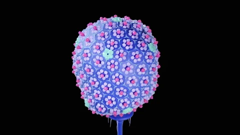 Bacteriophage structure, 3d animation Stock Footage