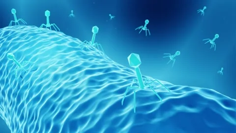 Bacteriophage therapy animation Stock Footage 154736124
