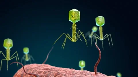 Bacteriophage virus attacking a bacterium 스톡 동영상 280060151
