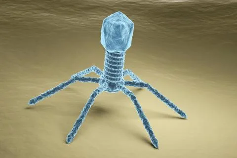 Bacteriophage virus electron microscopy image Stock Illustration