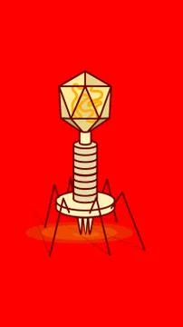 Bacteriophage virus flat style outlined drawing in red background illustration Stock Illustration