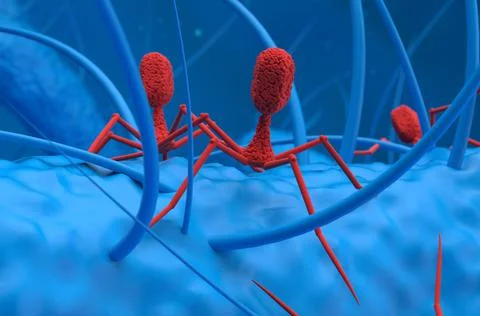 Bacteriophage viruses attack bacteria 3d render illustration closeup 스톡 일러스트