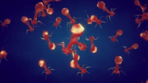 Bacteriophage viruses Stock Footage 321895323