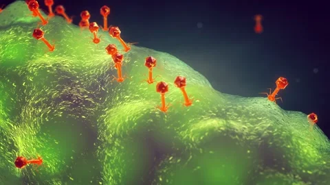 Bacteriophages Stock Footage 284119831