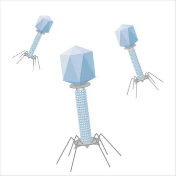 Bacteriophages Stock Illustration