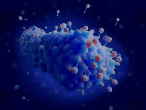 Bacteriophages infecting a bacterium Stock Illustration