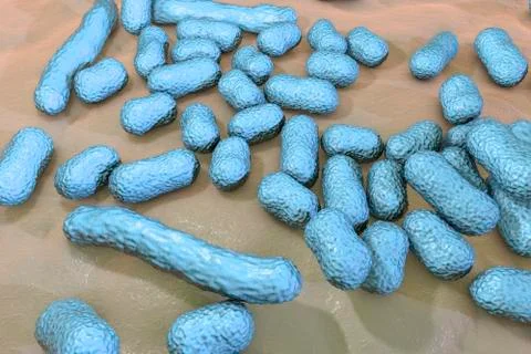 Bacterium Acinetobacter baumannii Stock Illustration