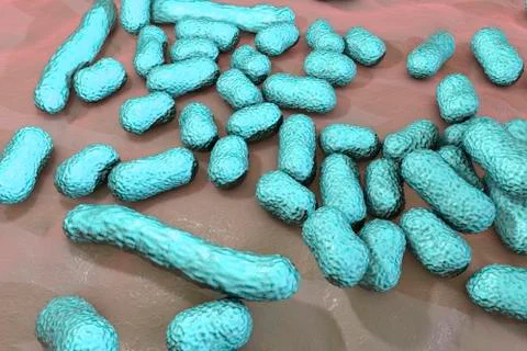 Bacterium Acinetobacter baumannii Stock Illustration