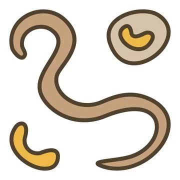 Bacterium and Viruses vector concept colored modern icon or symbol Stock Illustration