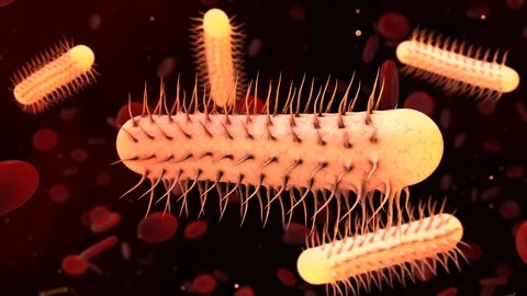 Bacterium Bacteria microbe microflora microscope render Stock Footage 114255450