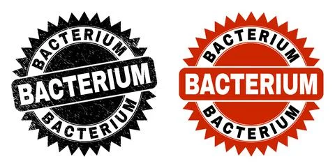 BACTERIUM Black Rosette Seal with Scratched Texture Stock Illustration
