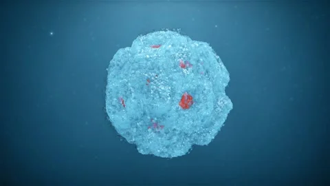 Bacterium On A Blue Background Stock Footage 117158927