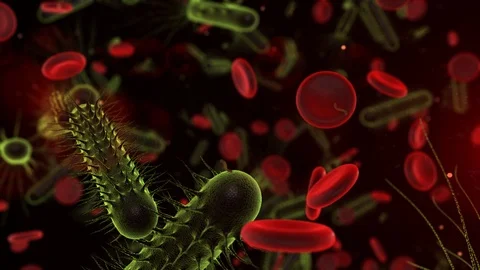 Bacterium cell and bacteria microscopic organism  - 3D animation render Stock Footage 113774052
