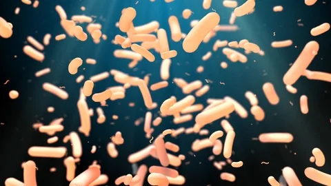 Bacterium cell and bacteria microscopic organism Stock Footage 114259735