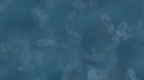 Bacterium Stock Footage 1090724