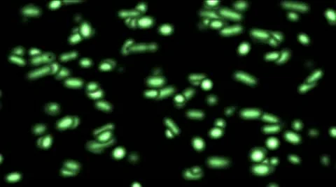 Bacterium in green 스톡 동영상 10809664