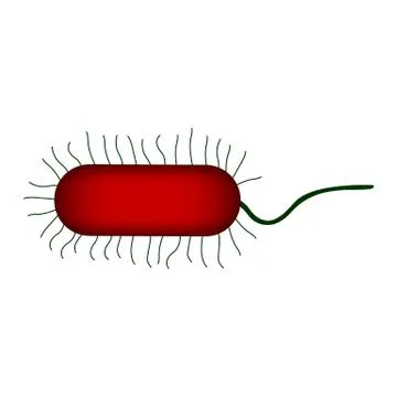 Bacterium icon on white. Stock Illustration