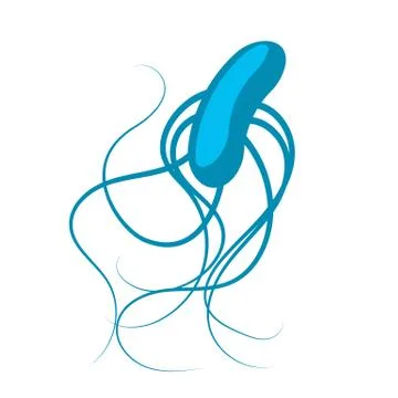 Bacterium. Isometric illustration Illustrazione stock