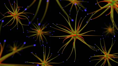 Bacterium orange Stock Footage 47862901