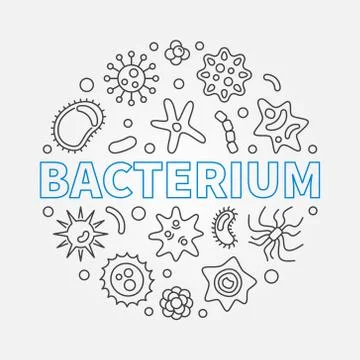 Bacterium round vector microbiology outline illustration Stock-Illustration