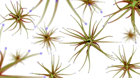 Bacterium white Stock Footage 48141927