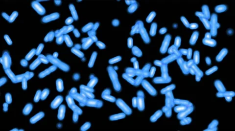 Bacteriums on black background Видео 45873613