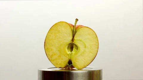 Bad Apple Vídeo Stock 77805672