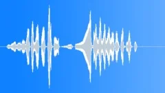 Bad boy laughtersSound Effect
