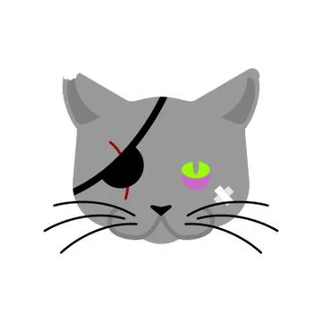 Bad Cat pirate. Eye patch and bruise. Pet bully Stock Illustration