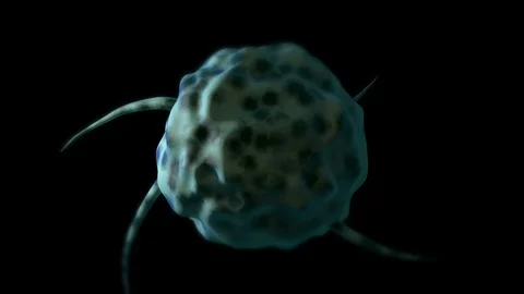 Bad Cell Growing up Stock Footage 126840684