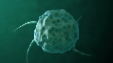 Bad Cell Growing up Stock Footage 126840837