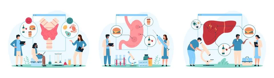 Bad effects study of fast food and alcohol on stomach, thyroid and liver health Illustrazione stock